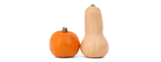 main_butternut-vs-pumpkin