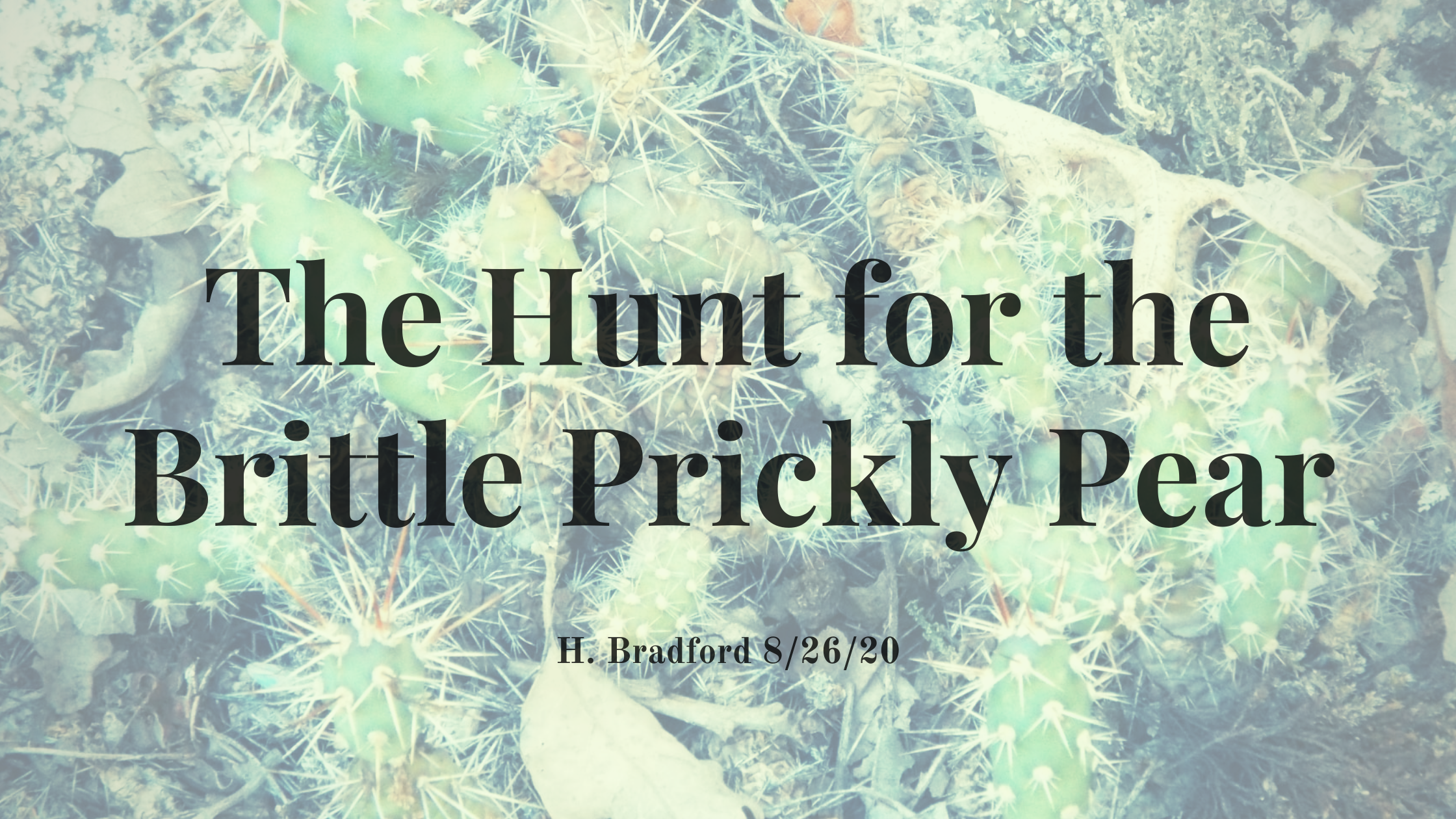 The Hunt for the Brittle Prickly Pear